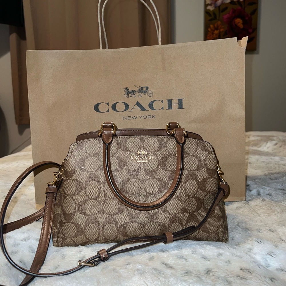 Coach Mini Lillie Carryall